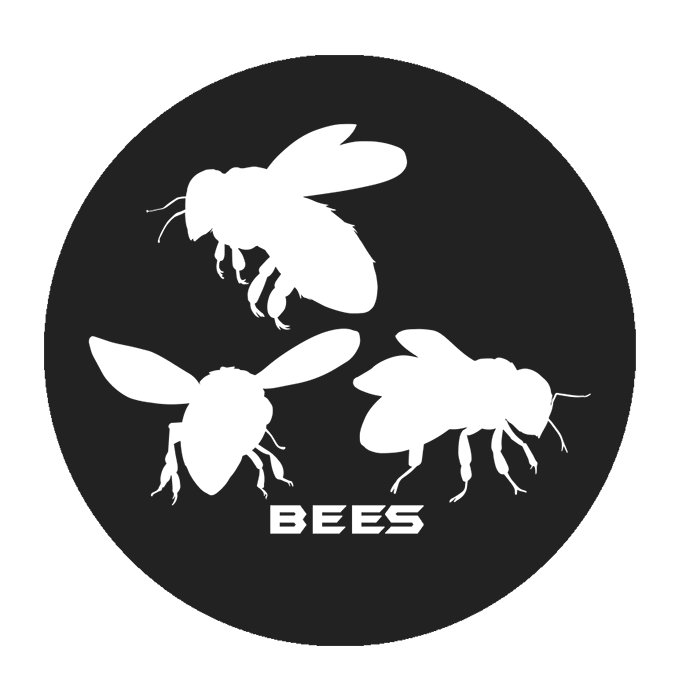 c627365b-9ce6-4e02-8a67-938e242696e7